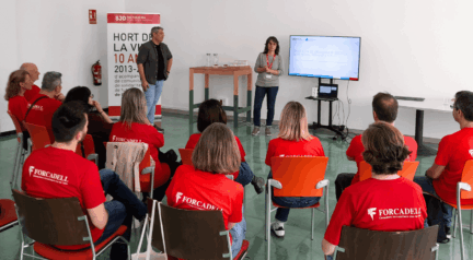 A volunteering initiative whose impact continues to grow